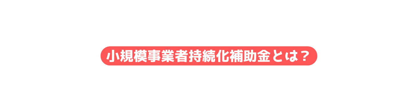 小規模事業者持続化補助金とは